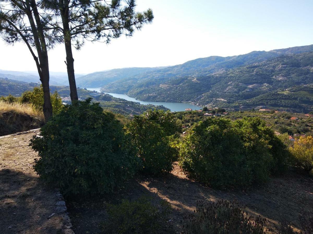 Paraiso Hills - Encostas Do Paraiso: Tranquilidade No Douro Resende Exterior photo